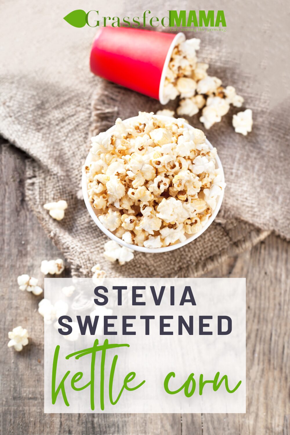 Stevia Sweetened Kettle Corn