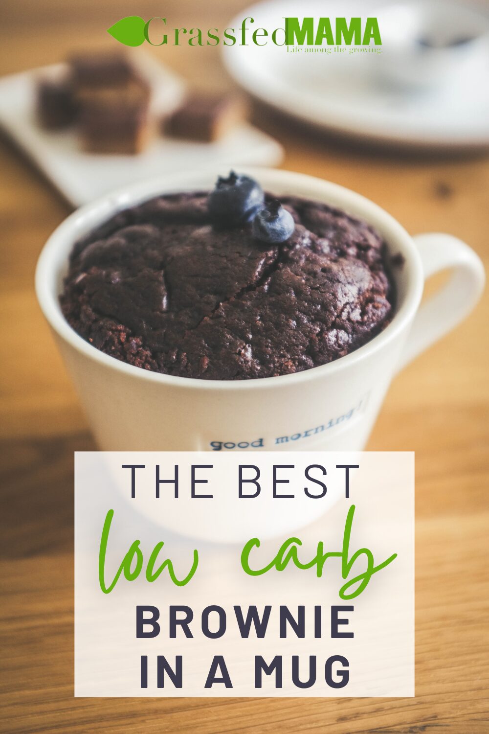 The Best Low Carb Brownie in a Mug
