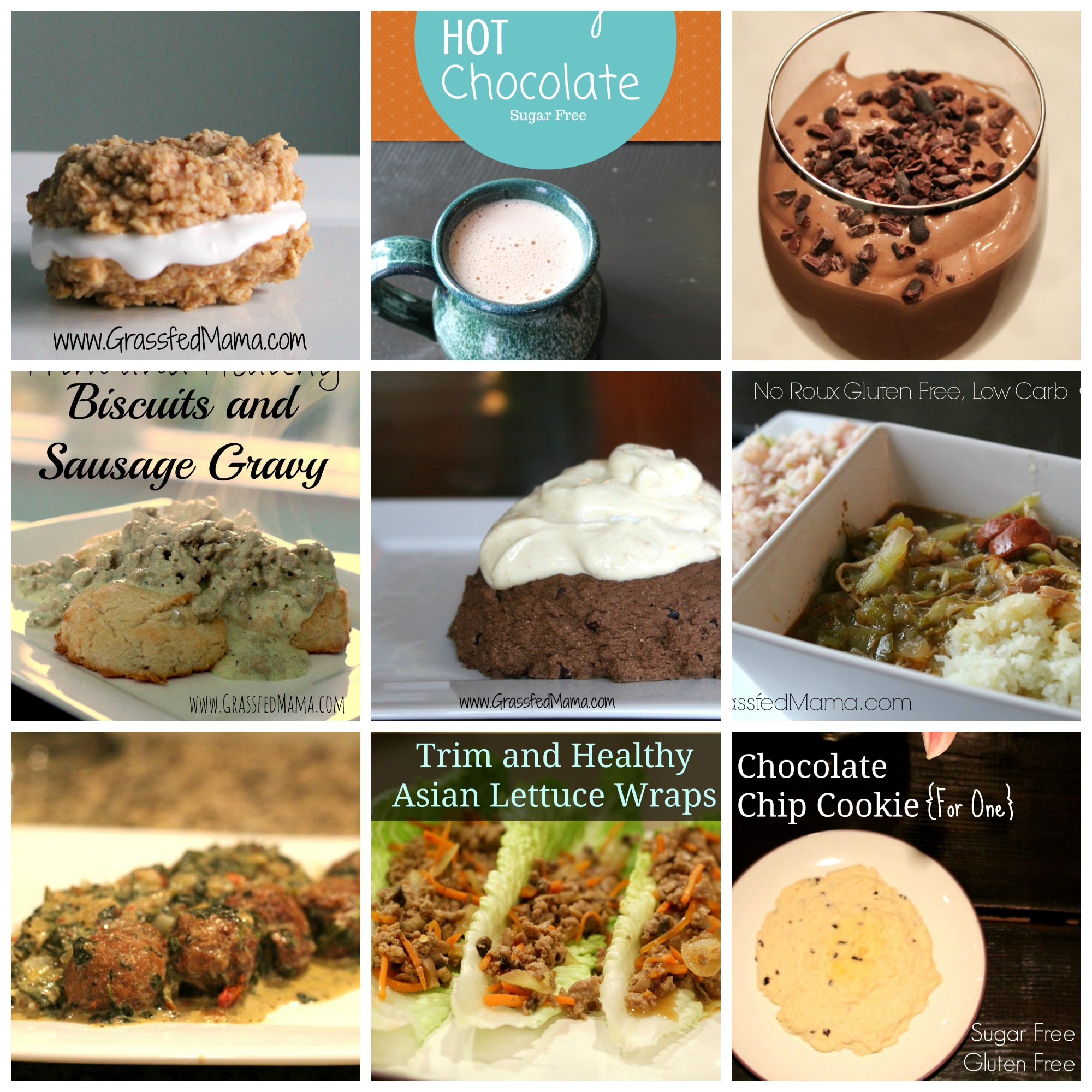 trim healthy mama recipes, easy trim healthy recipes, easy recipes, sugar free recipes, sugar free chocolate recipes