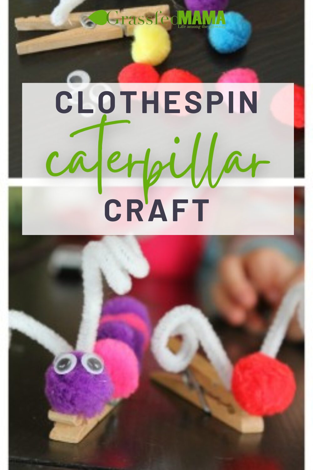 Clothespin Caterpillar Craft