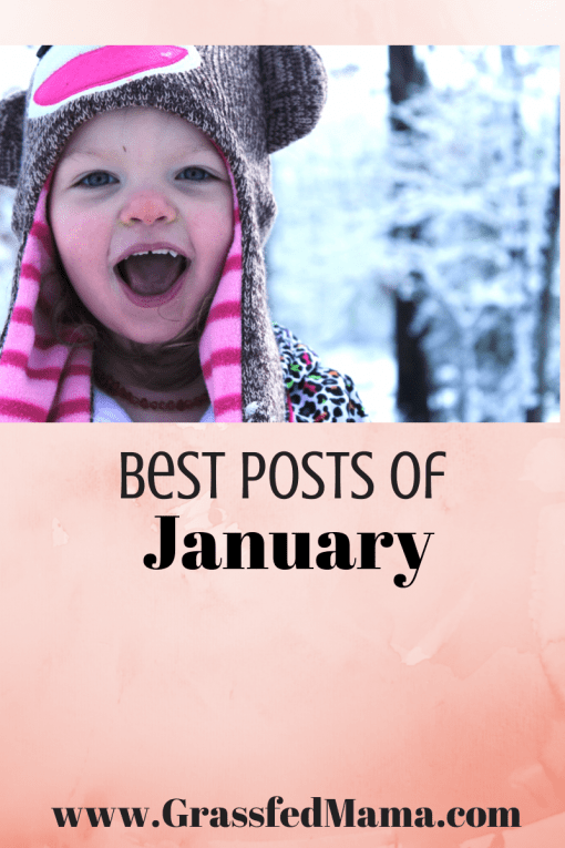 healthy recipes, homeschool crafts, natural health