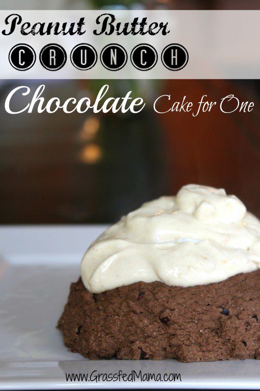 gluten free, grain free, one serving chocolate cake, healthy snacks, healthy chocolate cake, sugar free snack cake