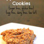 sugar free, egg free, dairy free, low fat, gluten free