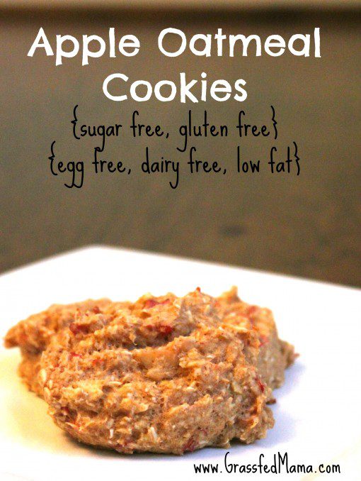 sugar free, egg free, dairy free, low fat, gluten free
