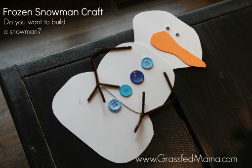 frozen craft