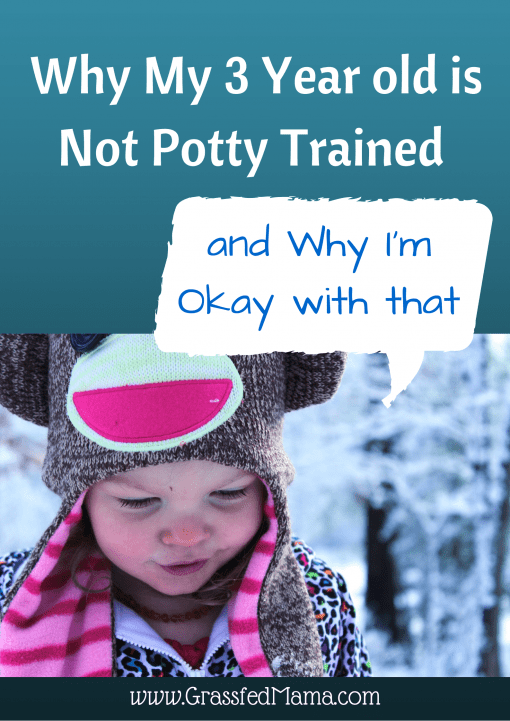 potty training, potty training regression, preschooler not potty trained, 
