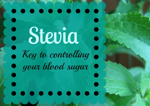 stevia, natural sweetener