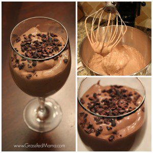 stevia, hot chocolate mousse