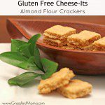 Gluten free cheese its almond flour main