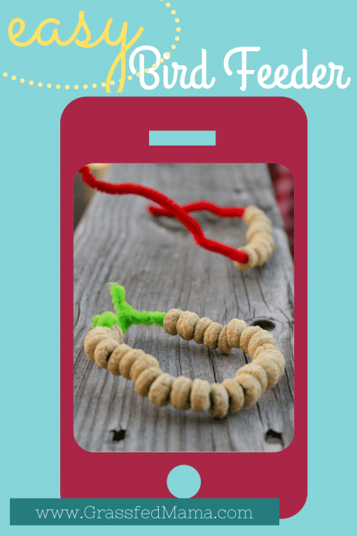 easy toddler craft, easy preschool craft, cheerios craft, pipe cleaner craft, bird feeder craft 