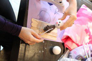 Winter Olympic Pinecone Craft