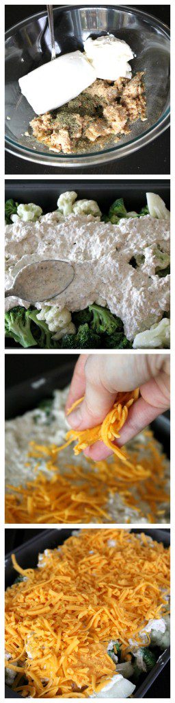 Low carb gluten free tuna casserole 