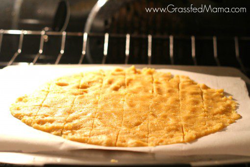 grain free gluten free cheese its 11