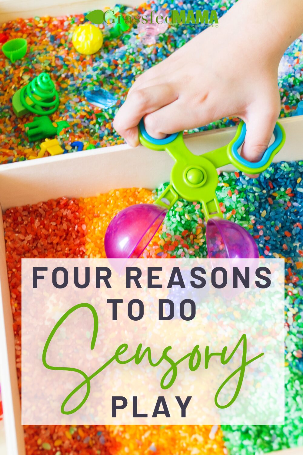 Four Reasons to do Sensory Play
