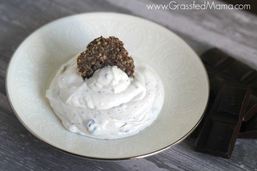Low Carb Mint Chocolate Chip Dip 3