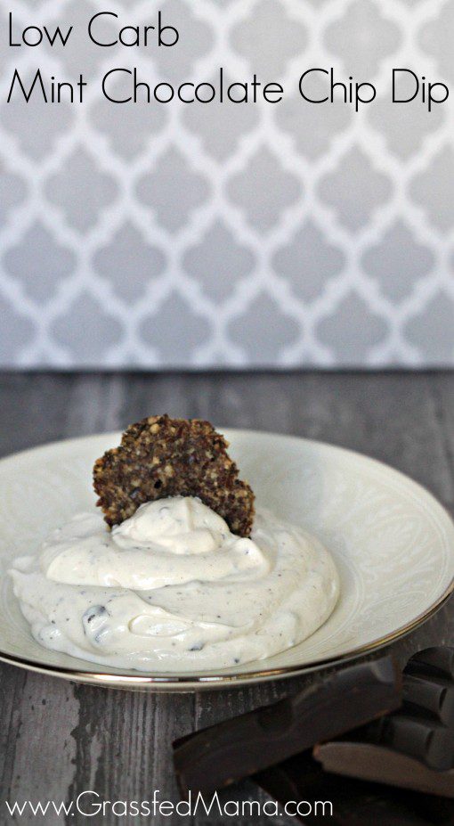 Low Carb Mint Chocolate Chip Dip 7