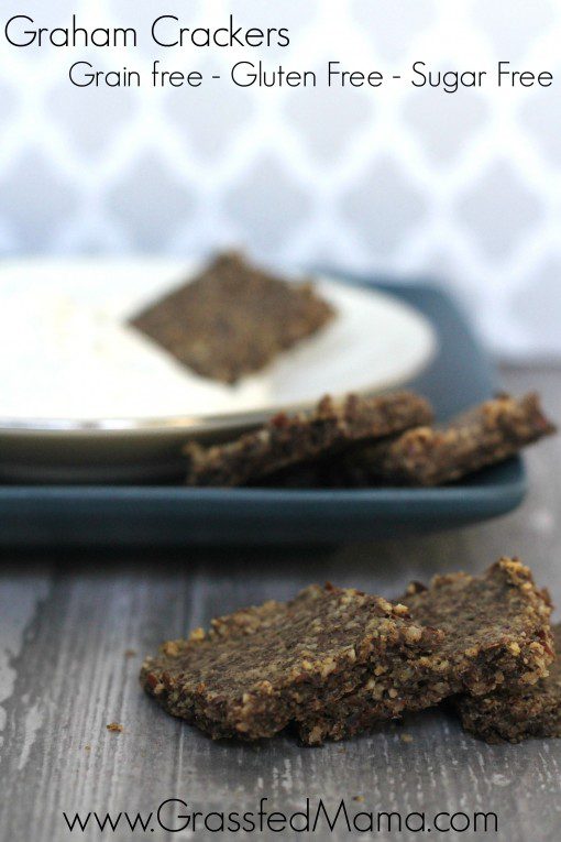 Graham crackers Sugar Free Grain Free 