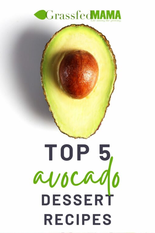 Top 5 Avocado Dessert Recipes