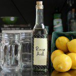 Non Toxic Cleaning Recipes