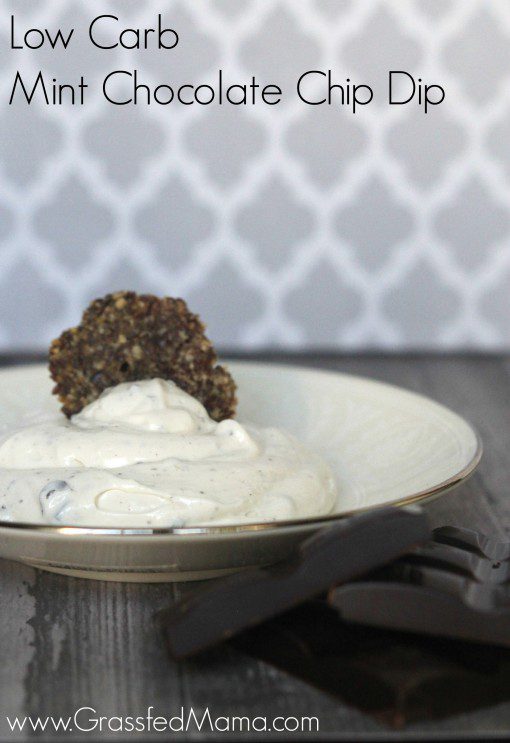 low carb mint chocolate chip dip 6