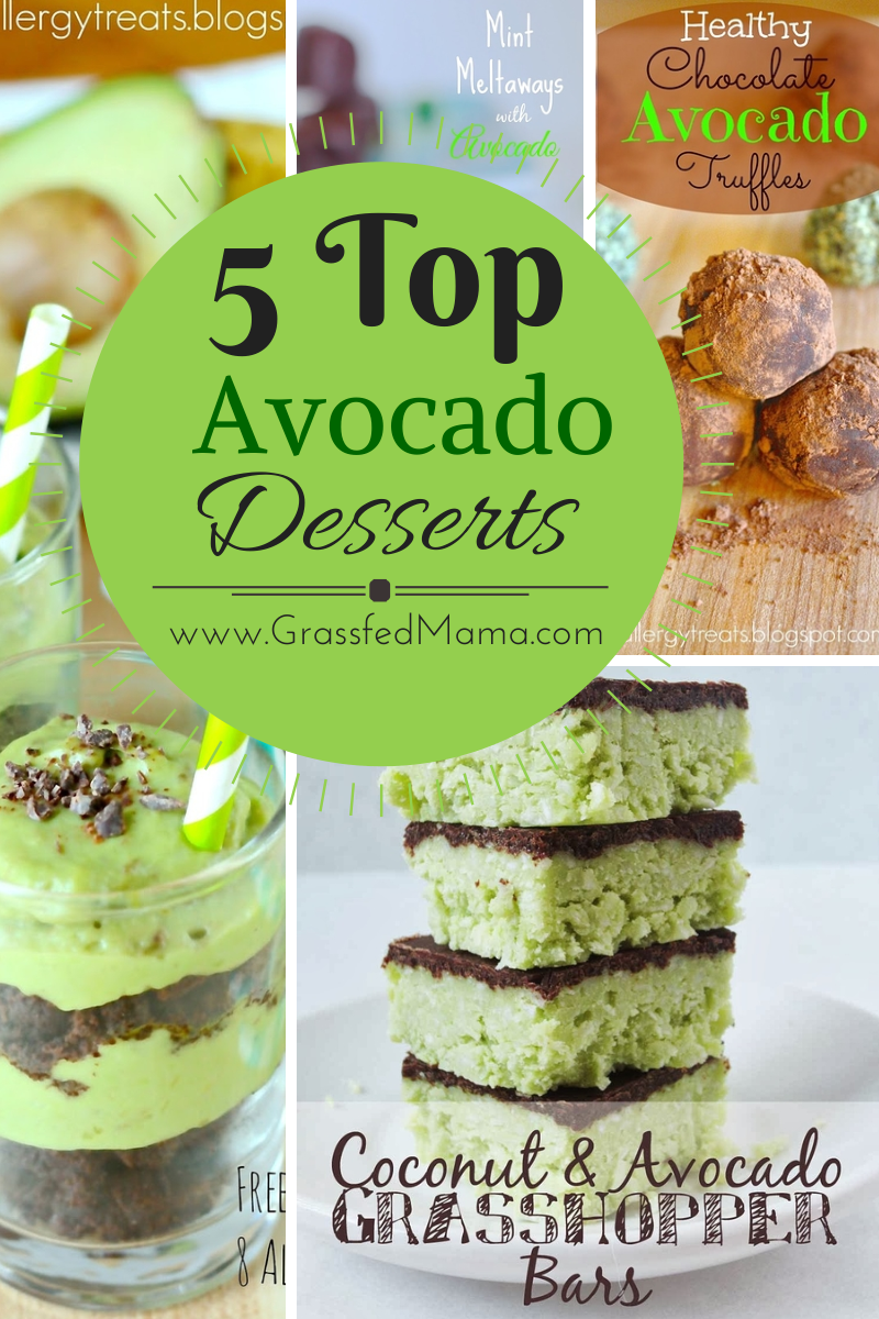Top 5 Avocado Desserts