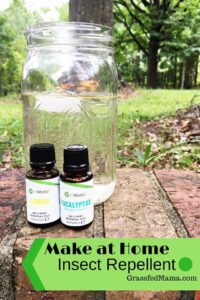 DIY Insect Repellent 