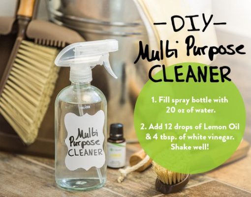 DIY Multi Purpose Cleaner