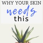 6 Reasons Why Your Skin Needs Toner