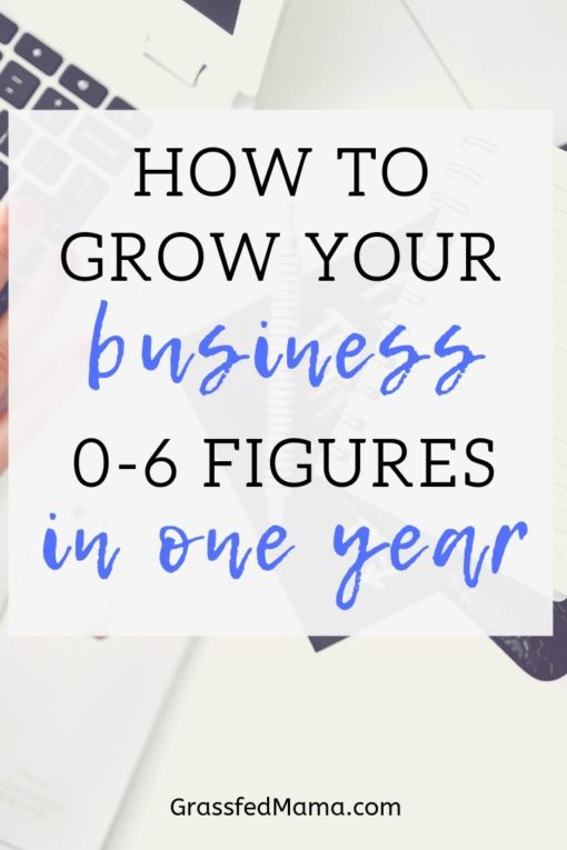 How to Grow Your Business 0-6 figures in one year