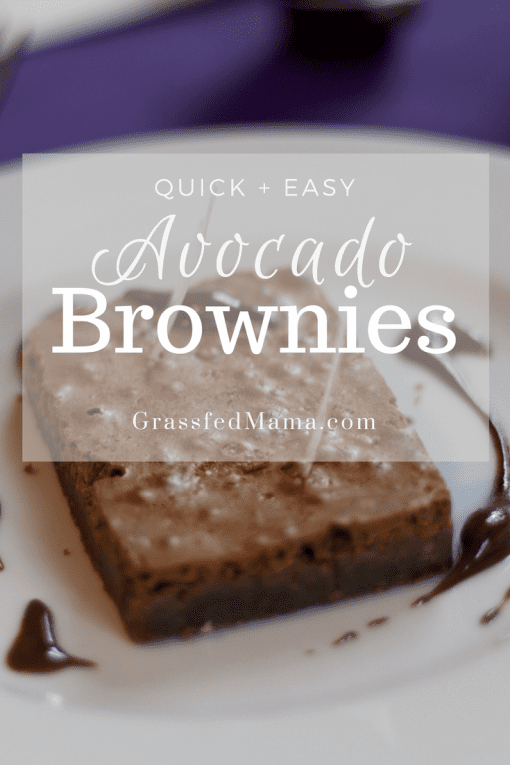 Healthy Low Carb Avocado Brownies Grassfed Mama