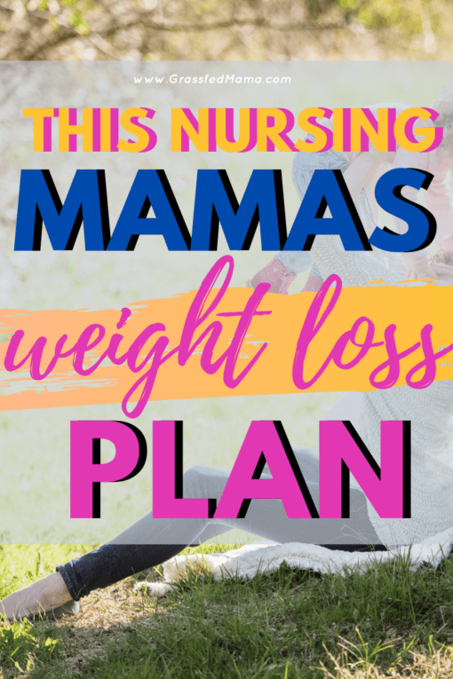 Weight Loss Plan while Breastfeeding