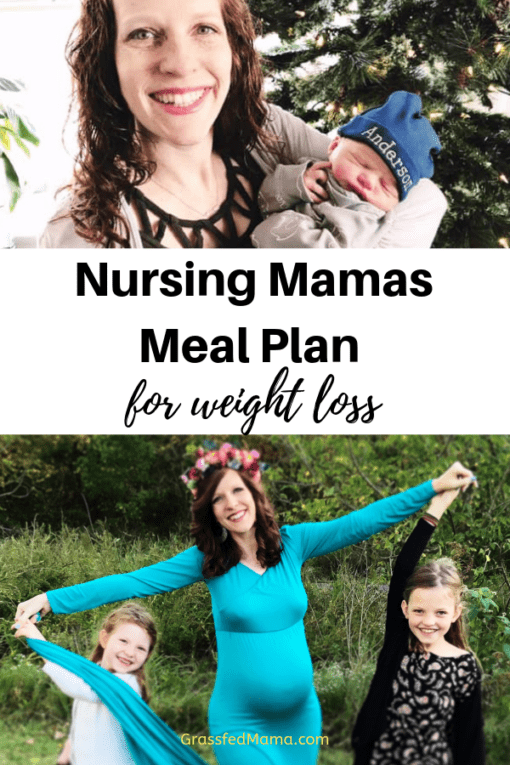 Nursing Mamas meal plan for weight loss