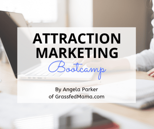Attraction Marketing Boot Camp