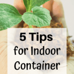 5 Tips for Indoor Container Gardening