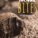Keto Brownie Batter Bites