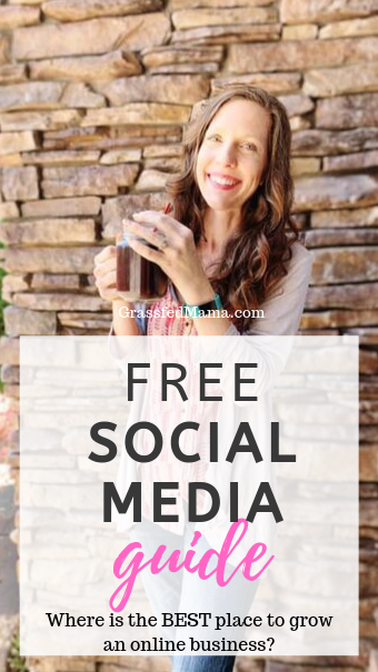 Free Social Media Guide for Businesses