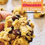 Keto Pumpkin Chocolate Chip Cookies
