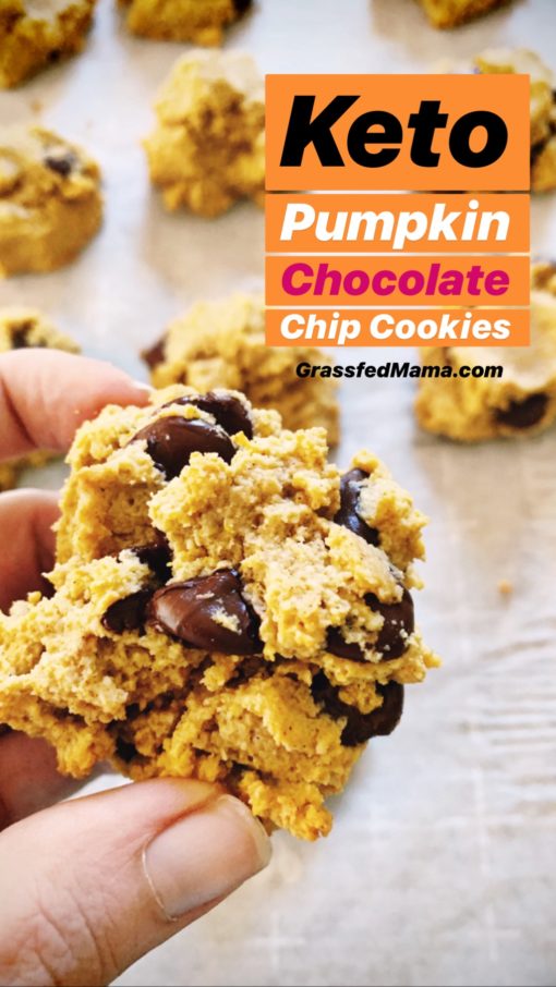 Keto Pumpkin Chocolate Chip Cookies