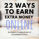 22 Ways To Earn Extra Money Online