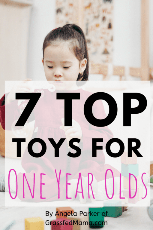 The 7 TOP Toys for One Year Olds Grassfed Mama
