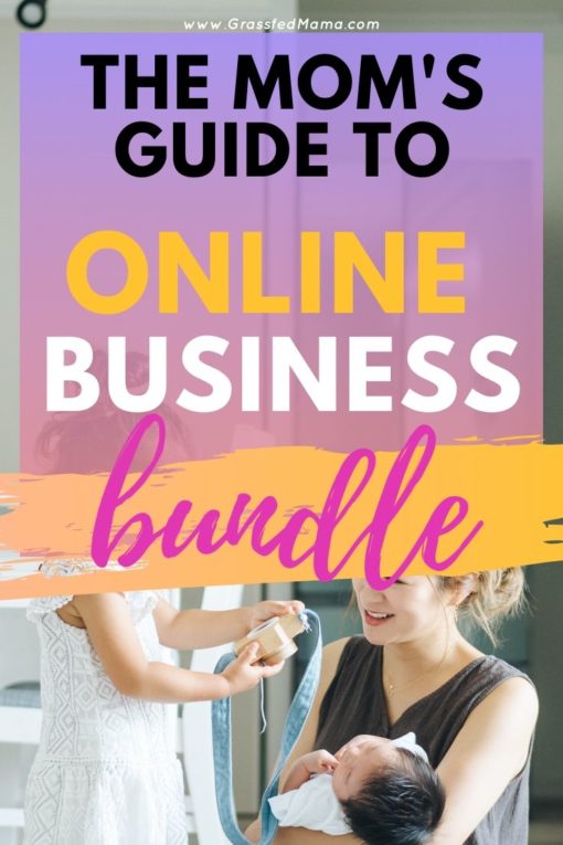 The Mom's Guide to Online Business Growth Bundle