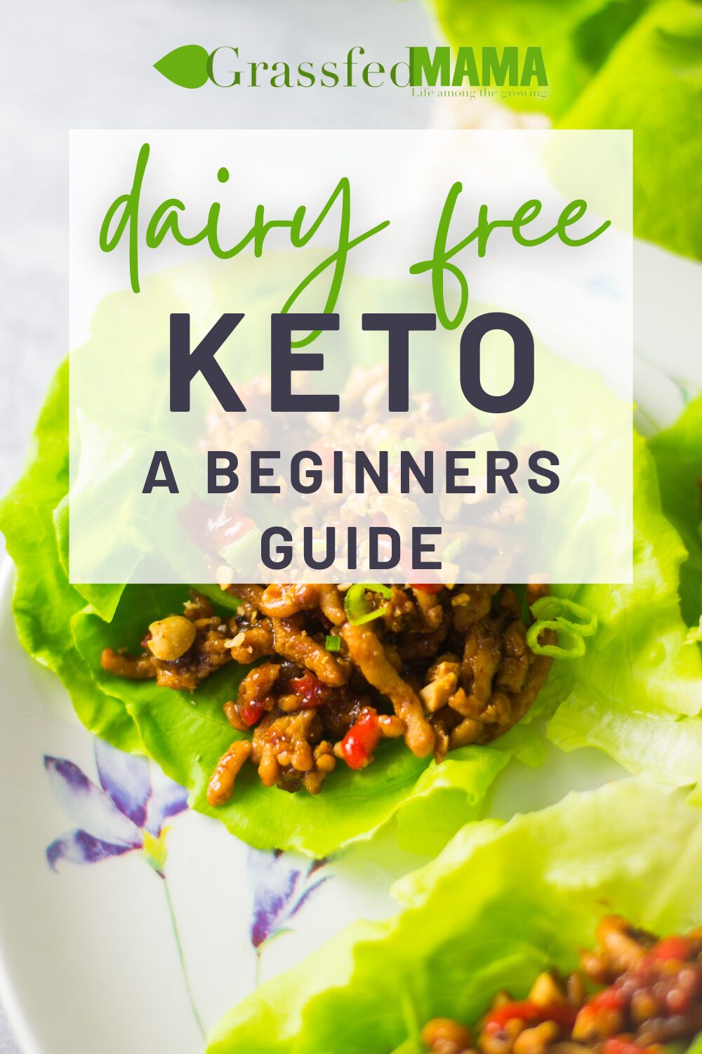 Navigating Dairy-Free Keto: A Beginner's Guide for Moms