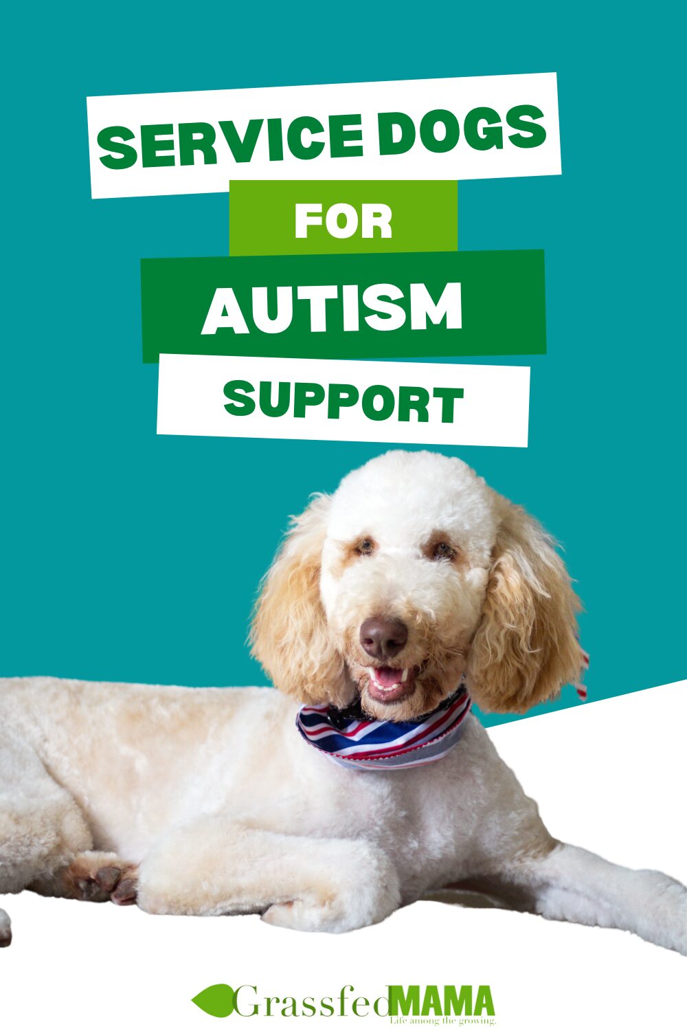 Autism service dogs of deals america