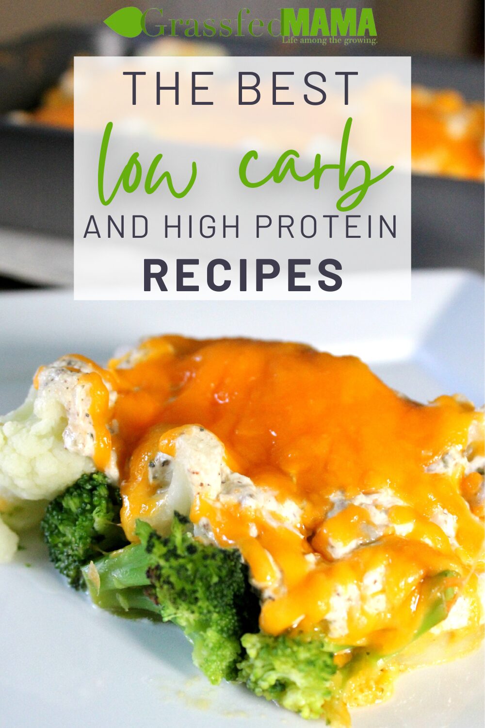 The Best Low Carb High Protein Recipes - Grassfed Mama